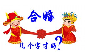 属鼠与属龙，天生的默契搭档？