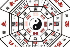 揭秘2022年属虎人的命运密码，运势旺盛，勇往直前！