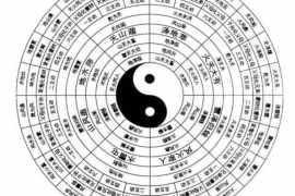 属狗的幸运数字