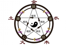 金牛座今日财运揭秘，财运之星闪耀，财富之门即将开启？