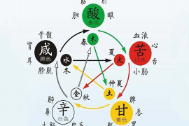 数字9的吉凶预测，深入解析与探讨