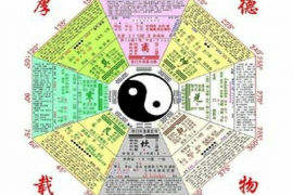 鸡年璀璨，2023年运势全面解析——你不可错过的运程指南