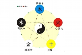 成字的五行属性及其解析