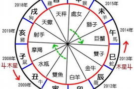 如何判断29岁属什么生肖？