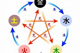 揭秘属鸡人的幸运数字，数字之谜的深度解析