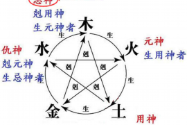 名字不能测身份证号，科学解析身份信息的重要性与安全